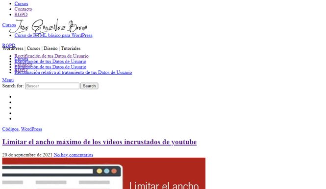 no se carga en CSS de mi página web