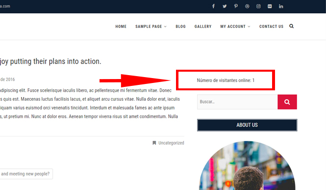 Código para un shortcode que nos muestre los visitantes online